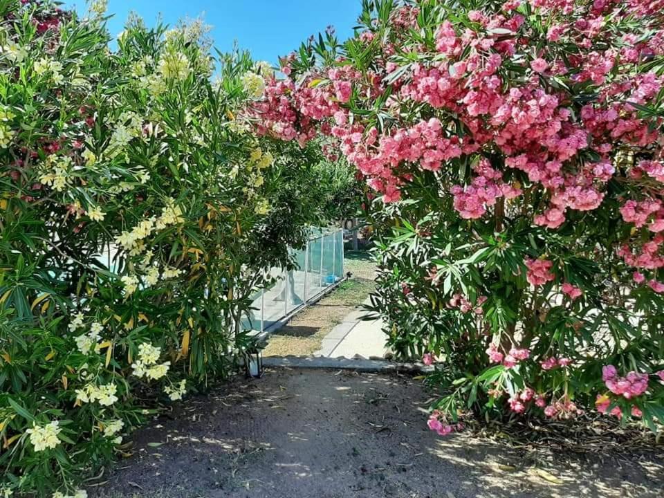Orasi Sartene Gite Casa Fiurita Bagian luar foto