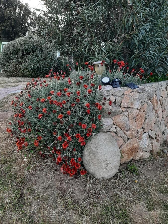 Orasi Sartene Gite Casa Fiurita Bagian luar foto