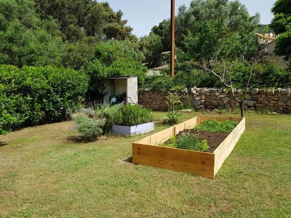 Orasi Sartene Gite Casa Fiurita Bagian luar foto